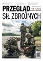 psz1-1