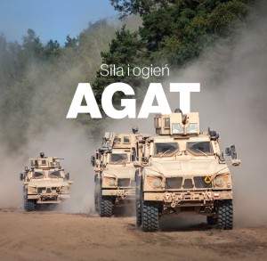 Album Agat. "Siła i Ogień"